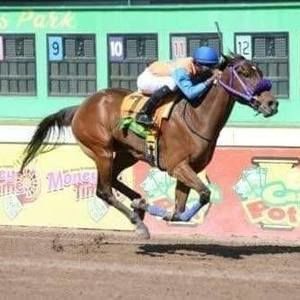 Meet your Posher, Paul